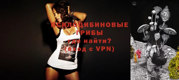 дживик Карпинск