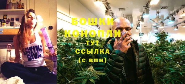 дживик Карпинск