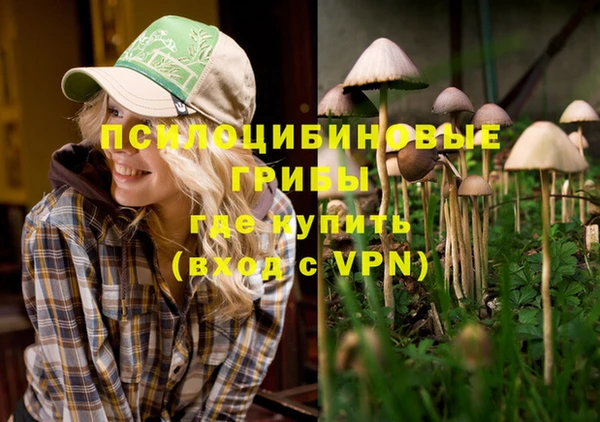 дживик Карпинск