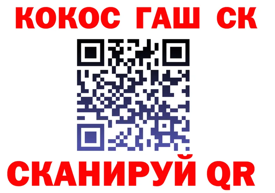 ГАШ Premium зеркало shop блэк спрут Сызрань